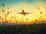 plane-travel plane-travel